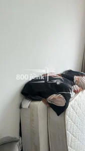 800 Junk - Junk Removal Services in Dubai